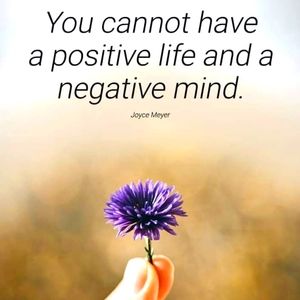 Meet your Posher, Darlene